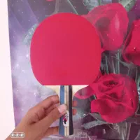 راکت پینگ پنگ حرفه ای
