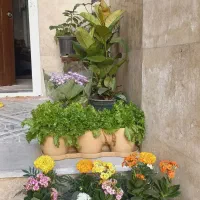 سوییت ساحلی با پارکینگ