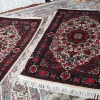دوتخته زرع ونیم نخ کرک پانخورده