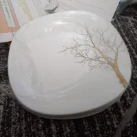 سرویس ارکوپال 30نفره نونو