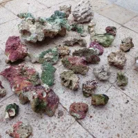 صخره اکواریوم آب شور