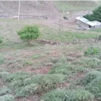 فروش ۶۳۹ متر زمین در روستای دلیر