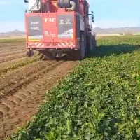 کمباین برداشت چغندر