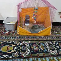 قفس پرنده