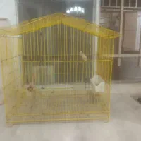قفس