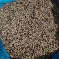 صدکیلو عدس ریز قیمت کیلویی220هزارتومان