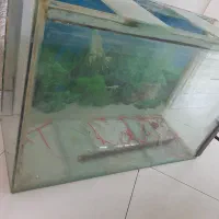 شیشه آکواریوم
