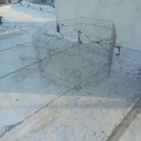 لانه وقفس