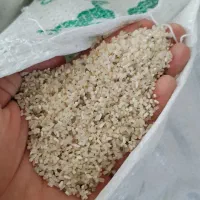 برنج پارساله نیم دان