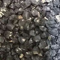 بذر پیاز محلی