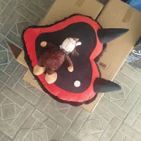 قلب بزرگ وگاو