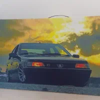 تابلو عکس 405