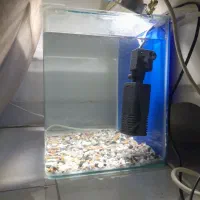 اکواریوم شیشه خم