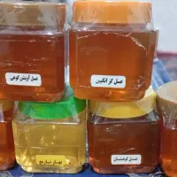 عسل مرغوب