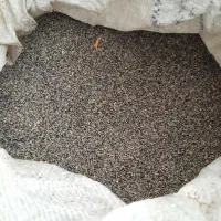 بهترین توم بذرگل