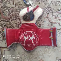 دو عدد هوگو