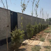 335متر-چهار-دیواری-سند-تک-برگ-جواز-ساخت-در-اقبالیه
