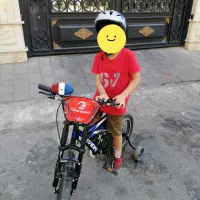 دوچرخه کافی دیس