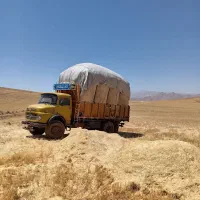 کاه دیم درجه یک 15