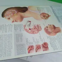 طراحی آلبوم ، قاب عکس ، شاسی کلی|تابلو، نقاشی، عکس|مشهد, چهارچشمه|دیوار