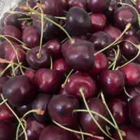 گیلاس تکدانه تازه و ارگانیک فشم