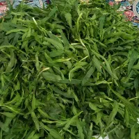 سبزی صحرایی کاملا طبیعی و ارگانیک