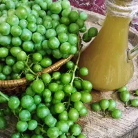 آبغوره خوشمزه محصول جهرم