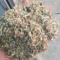 کاه یونجه