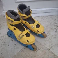 کفش اسکیت
