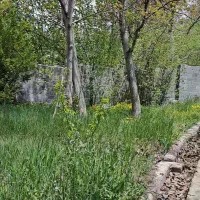 باغچه-در-لواسان
