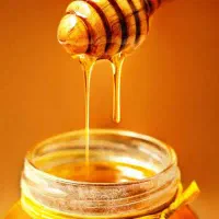 عسل کوهی