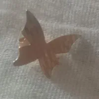 گل گوش