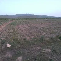 زمین مناسب برای کشت