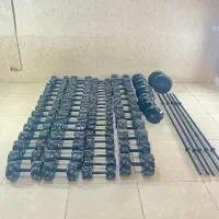 دمبل/اقتصادی/ هالتر / صفحه /