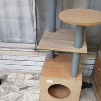 درخت گربه اسکچر