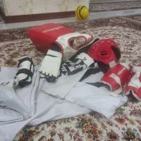هوگو تکواندو