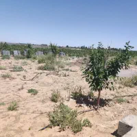 فروش-زمین1500متر-سنددارمامونیه