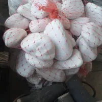 قلوه سنگ های سفید و رنگی