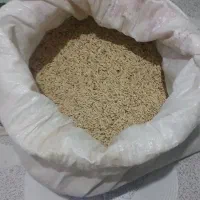 جو سالم|خوردنی و آشامیدنی|ایجرود, |دیوار