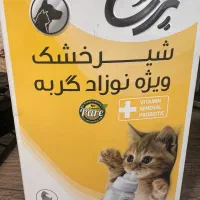 غذای گربه
