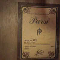 گیتار پارس m5