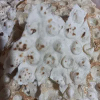 نون خشک
