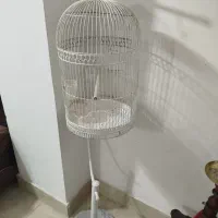 قفس پرنده