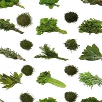 اجاره میز سبزی فروشی طالقانی