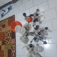 تاب وسرسره ولوستر