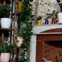 پایه گل