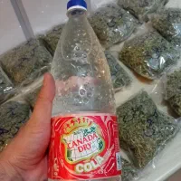 گلاب طبیعی و آویشن تازه و پونه تازه