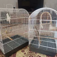 قفس پرنده