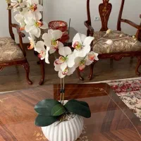 گلدان گل چینی ارکیده