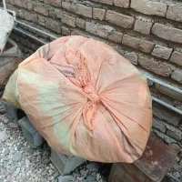 تو ماهی سفید